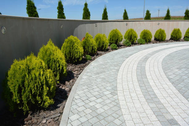 Best Best Driveway Pavers  in Littlerock, CA